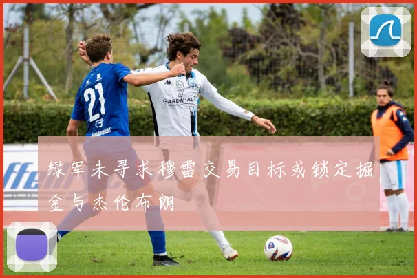 绿军未寻求穆雷交易目标或锁定掘金与杰伦布朗